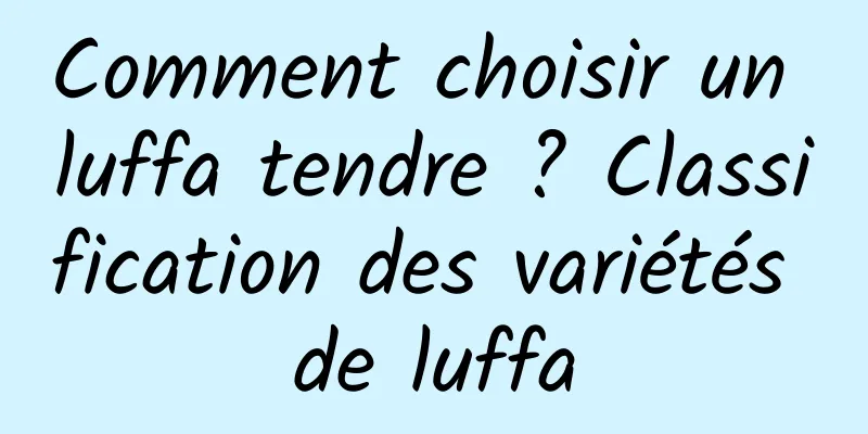 Comment choisir un luffa tendre ? Classification des variétés de luffa