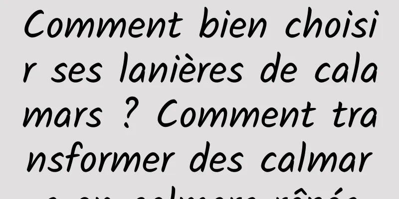 Comment bien choisir ses lanières de calamars ? Comment transformer des calmars en calmars râpés