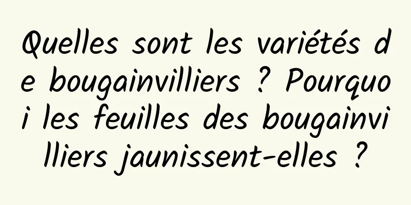 Quelles sont les variétés de bougainvilliers ? Pourquoi les feuilles des bougainvilliers jaunissent-elles ?