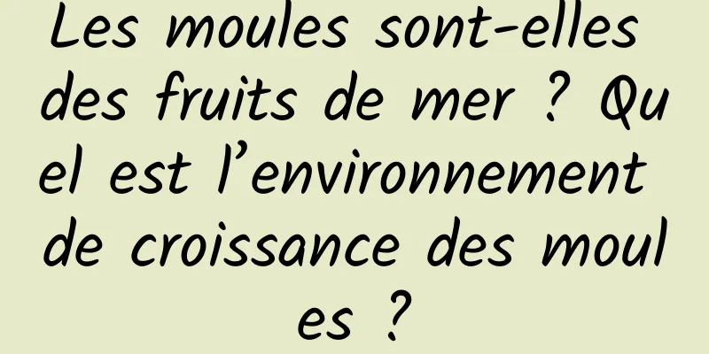 Les moules sont-elles des fruits de mer ? Quel est l’environnement de croissance des moules ?
