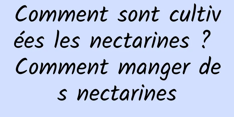 Comment sont cultivées les nectarines ? Comment manger des nectarines