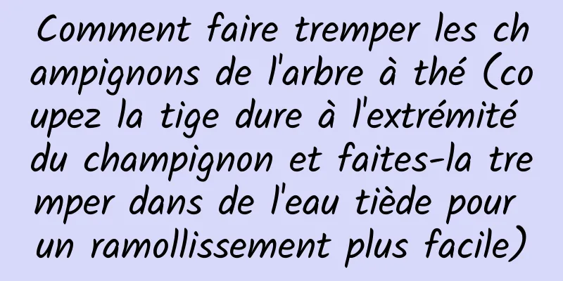 Comment faire tremper les champignons de l'arbre à thé (coupez la tige dure à l'extrémité du champignon et faites-la tremper dans de l'eau tiède pour un ramollissement plus facile)