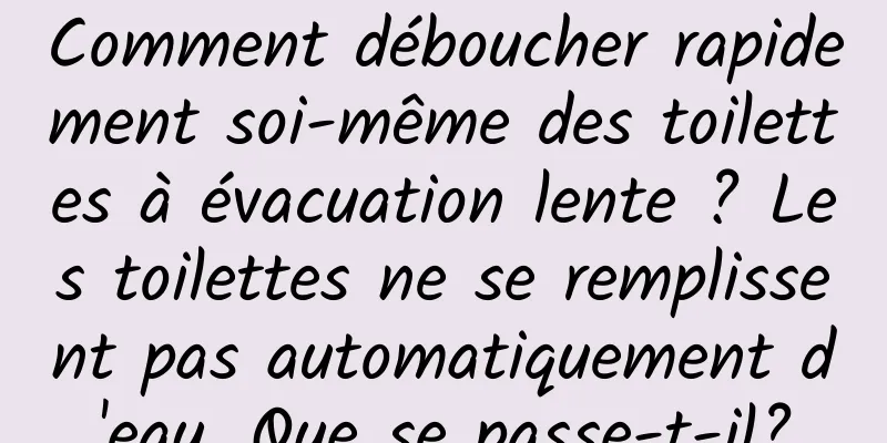 Comment déboucher rapidement soi-même des toilettes à évacuation lente ? Les toilettes ne se remplissent pas automatiquement d'eau. Que se passe-t-il?