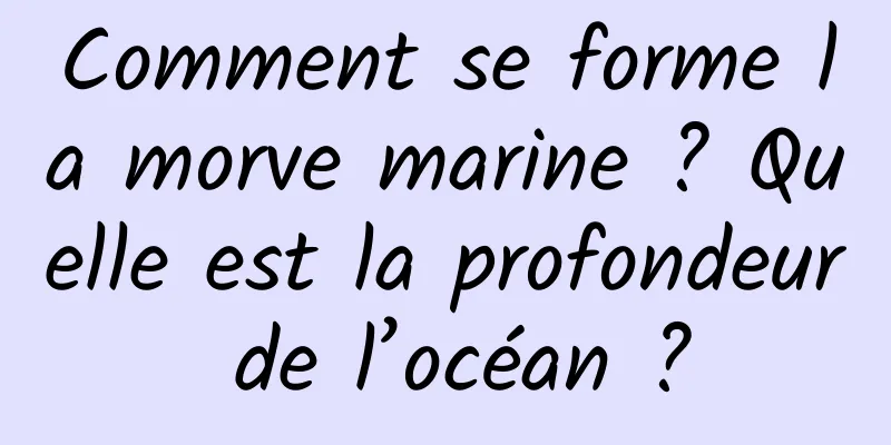 Comment se forme la morve marine ? Quelle est la profondeur de l’océan ?