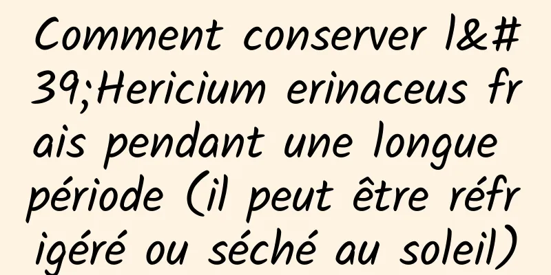 Comment conserver l'Hericium erinaceus frais pendant une longue période (il peut être réfrigéré ou séché au soleil)