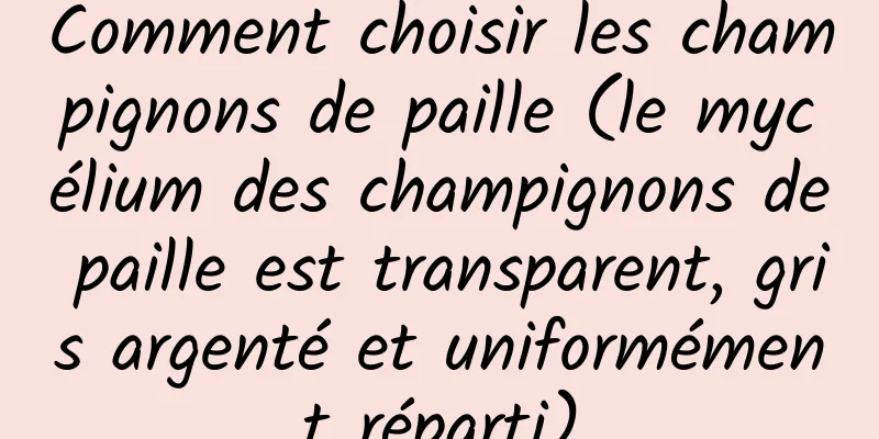 Comment choisir les champignons de paille (le mycélium des champignons de paille est transparent, gris argenté et uniformément réparti)