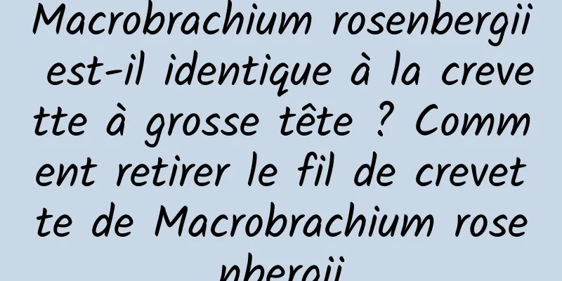 Macrobrachium rosenbergii est-il identique à la crevette à grosse tête ? Comment retirer le fil de crevette de Macrobrachium rosenbergii