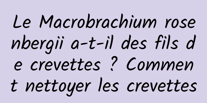 Le Macrobrachium rosenbergii a-t-il des fils de crevettes ? Comment nettoyer les crevettes