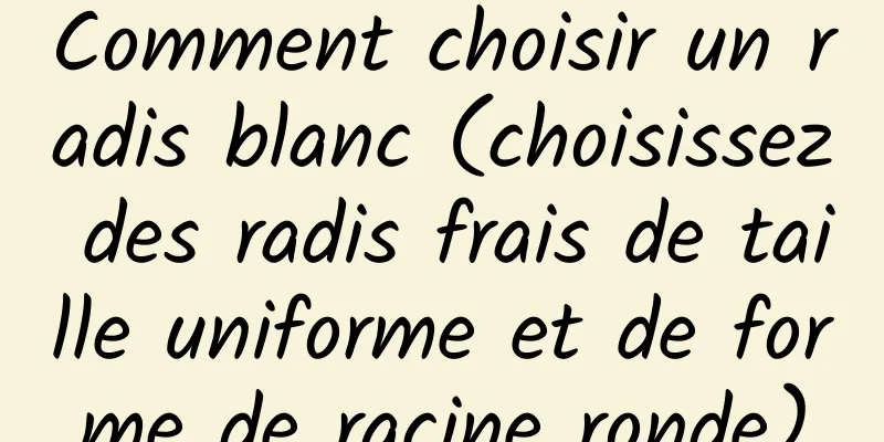 Comment choisir un radis blanc (choisissez des radis frais de taille uniforme et de forme de racine ronde)