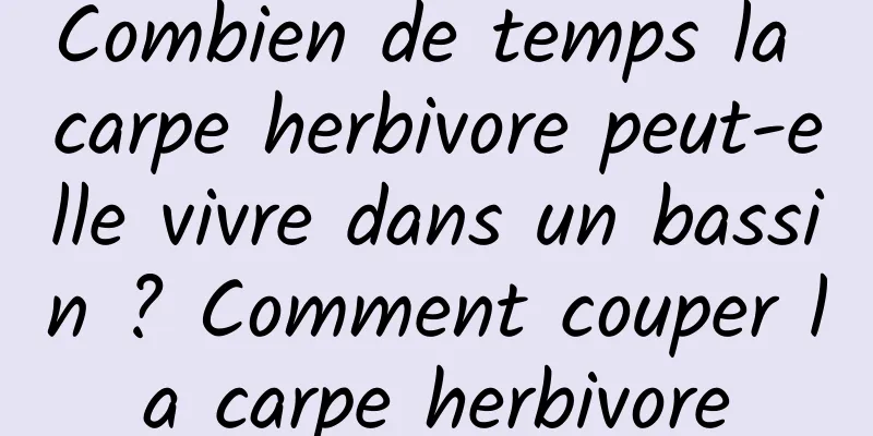 Combien de temps la carpe herbivore peut-elle vivre dans un bassin ? Comment couper la carpe herbivore