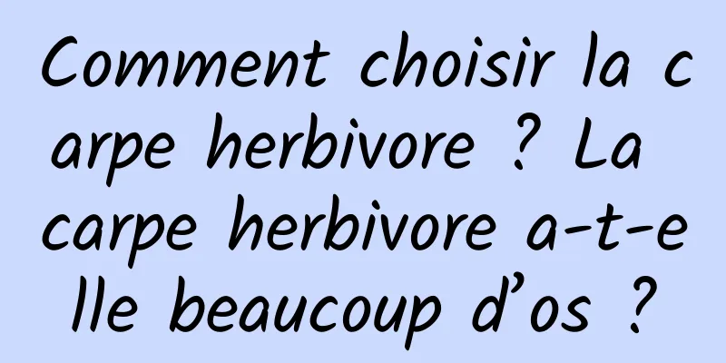 Comment choisir la carpe herbivore ? La carpe herbivore a-t-elle beaucoup d’os ?