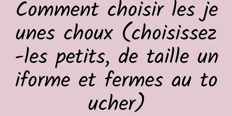 Comment choisir les jeunes choux (choisissez-les petits, de taille uniforme et fermes au toucher)