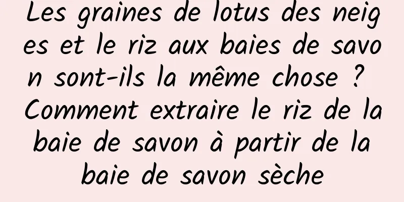 Les graines de lotus des neiges et le riz aux baies de savon sont-ils la même chose ? Comment extraire le riz de la baie de savon à partir de la baie de savon sèche