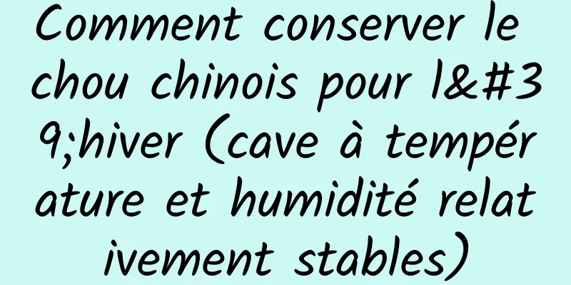 Comment conserver le chou chinois pour l'hiver (cave à température et humidité relativement stables)