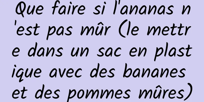 Que faire si l'ananas n'est pas mûr (le mettre dans un sac en plastique avec des bananes et des pommes mûres)