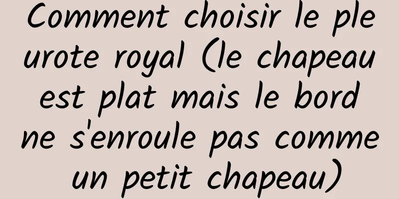 Comment choisir le pleurote royal (le chapeau est plat mais le bord ne s'enroule pas comme un petit chapeau)