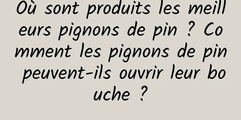 Où sont produits les meilleurs pignons de pin ? Comment les pignons de pin peuvent-ils ouvrir leur bouche ?