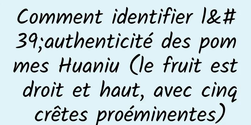 Comment identifier l'authenticité des pommes Huaniu (le fruit est droit et haut, avec cinq crêtes proéminentes)
