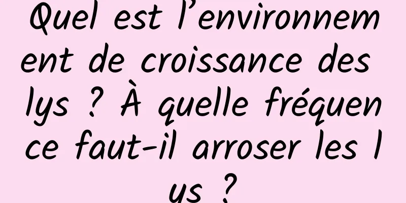 Quel est l’environnement de croissance des lys ? À quelle fréquence faut-il arroser les lys ?