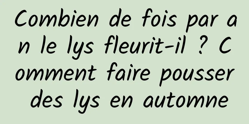 Combien de fois par an le lys fleurit-il ? Comment faire pousser des lys en automne