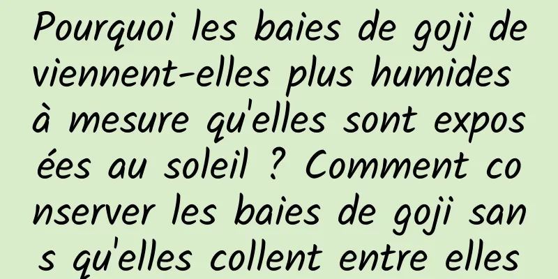 Pourquoi les baies de goji deviennent-elles plus humides à mesure qu'elles sont exposées au soleil ? Comment conserver les baies de goji sans qu'elles collent entre elles