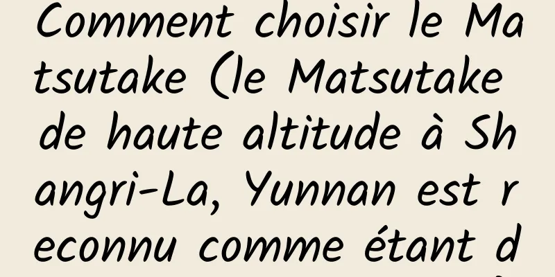 Comment choisir le Matsutake (le Matsutake de haute altitude à Shangri-La, Yunnan est reconnu comme étant de la meilleure qualité)