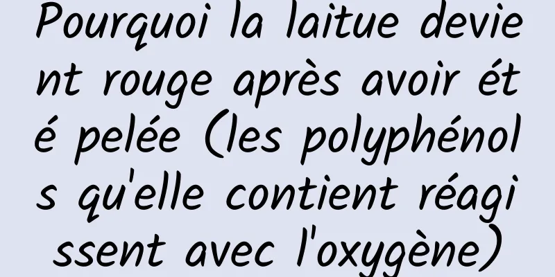 Pourquoi la laitue devient rouge après avoir été pelée (les polyphénols qu'elle contient réagissent avec l'oxygène)