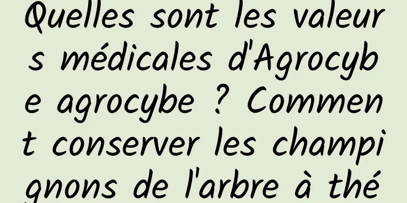 Quelles sont les valeurs médicales d'Agrocybe agrocybe ? Comment conserver les champignons de l'arbre à thé