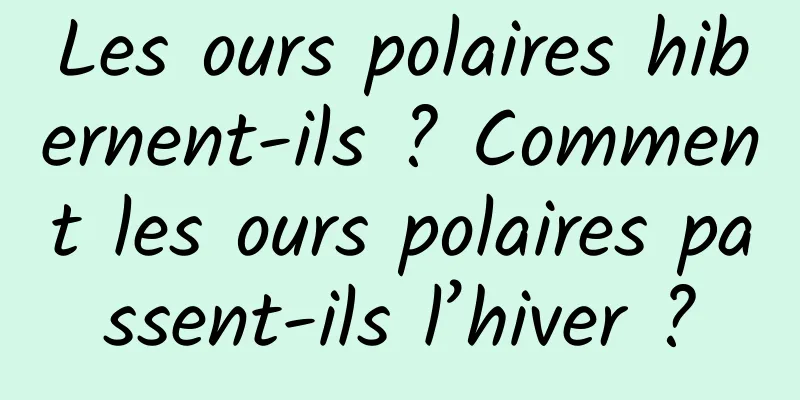 Les ours polaires hibernent-ils ? Comment les ours polaires passent-ils l’hiver ?