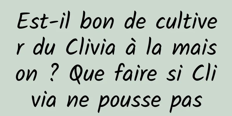 Est-il bon de cultiver du Clivia à la maison ? Que faire si Clivia ne pousse pas