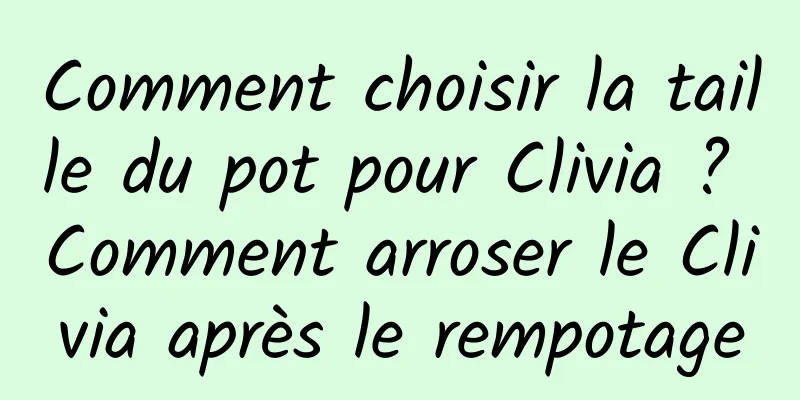 Comment choisir la taille du pot pour Clivia ? Comment arroser le Clivia après le rempotage