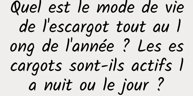 Quel est le mode de vie de l'escargot tout au long de l'année ? Les escargots sont-ils actifs la nuit ou le jour ?