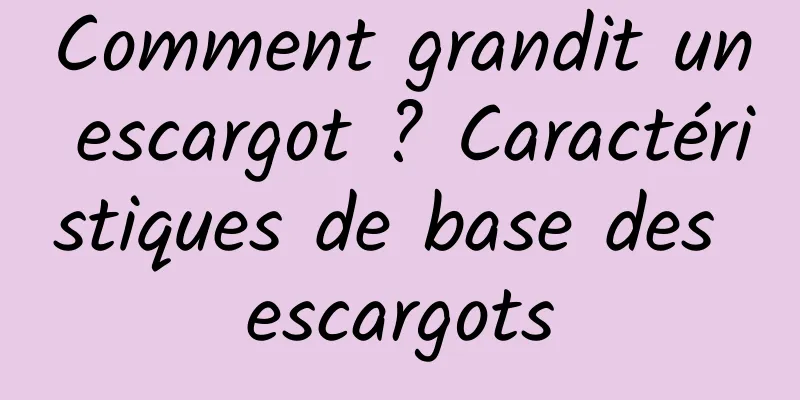 Comment grandit un escargot ? Caractéristiques de base des escargots