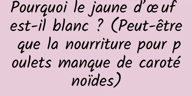 Pourquoi le jaune d’œuf est-il blanc ? (Peut-être que la nourriture pour poulets manque de caroténoïdes)