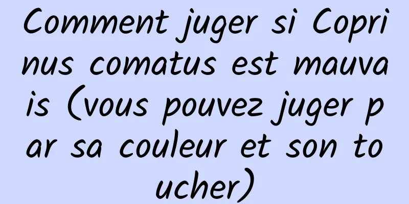 Comment juger si Coprinus comatus est mauvais (vous pouvez juger par sa couleur et son toucher)