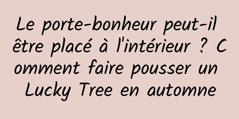 Le porte-bonheur peut-il être placé à l'intérieur ? Comment faire pousser un Lucky Tree en automne