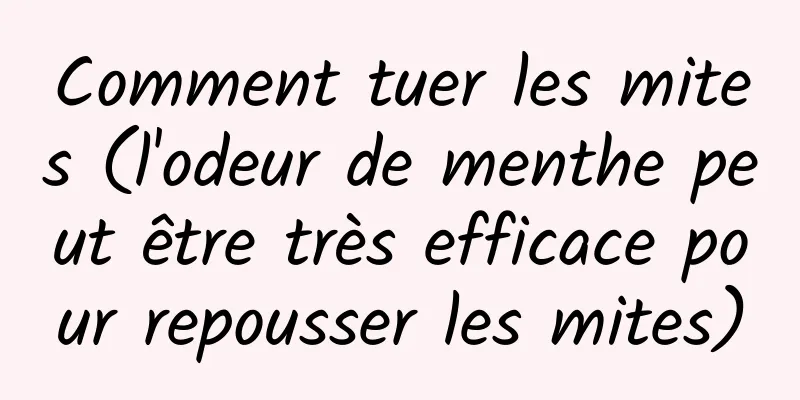 Comment tuer les mites (l'odeur de menthe peut être très efficace pour repousser les mites)