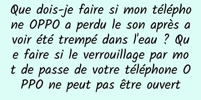 Que dois-je faire si mon téléphone OPPO a perdu le son après avoir été trempé dans l'eau ? Que faire si le verrouillage par mot de passe de votre téléphone OPPO ne peut pas être ouvert