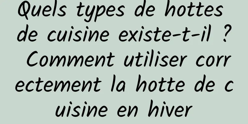 Quels types de hottes de cuisine existe-t-il ? Comment utiliser correctement la hotte de cuisine en hiver