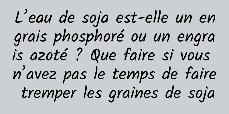 L’eau de soja est-elle un engrais phosphoré ou un engrais azoté ? Que faire si vous n’avez pas le temps de faire tremper les graines de soja