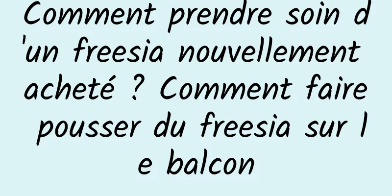 Comment prendre soin d'un freesia nouvellement acheté ? Comment faire pousser du freesia sur le balcon