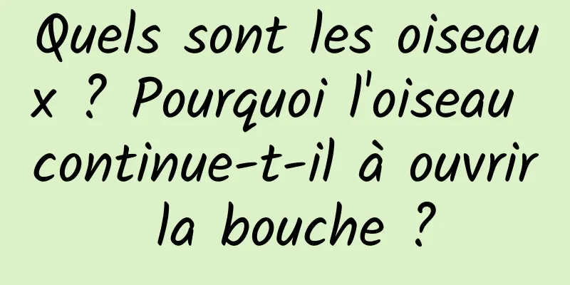 Quels sont les oiseaux ? Pourquoi l'oiseau continue-t-il à ouvrir la bouche ?