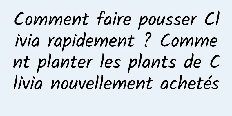 Comment faire pousser Clivia rapidement ? Comment planter les plants de Clivia nouvellement achetés