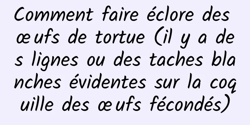Comment faire éclore des œufs de tortue (il y a des lignes ou des taches blanches évidentes sur la coquille des œufs fécondés)