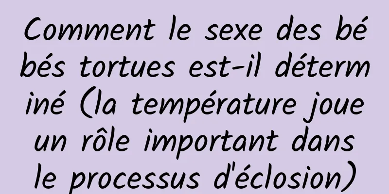 Comment le sexe des bébés tortues est-il déterminé (la température joue un rôle important dans le processus d'éclosion)
