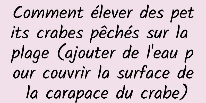 Comment élever des petits crabes pêchés sur la plage (ajouter de l'eau pour couvrir la surface de la carapace du crabe)