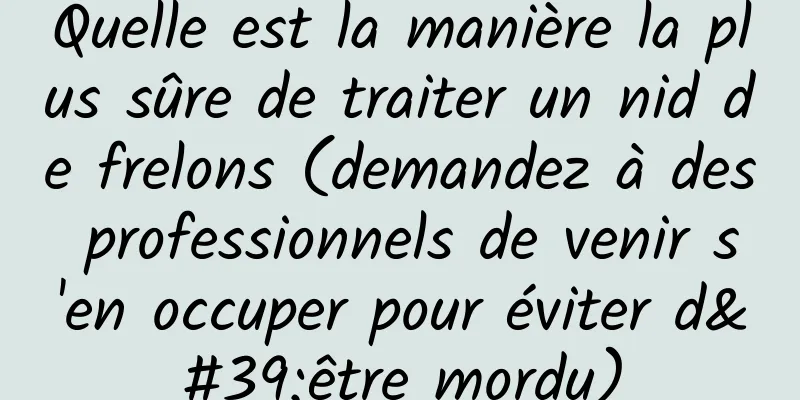 Quelle est la manière la plus sûre de traiter un nid de frelons (demandez à des professionnels de venir s'en occuper pour éviter d'être mordu)