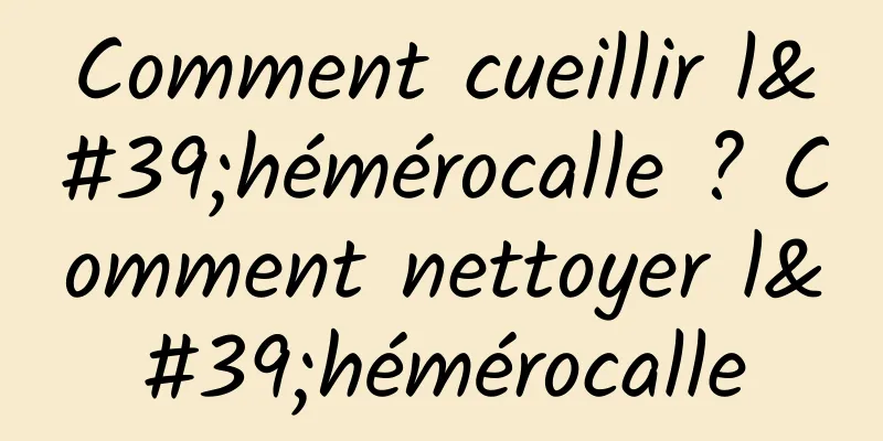 Comment cueillir l'hémérocalle ? Comment nettoyer l'hémérocalle