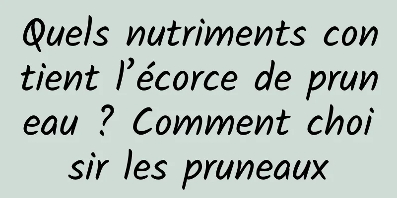 Quels nutriments contient l’écorce de pruneau ? Comment choisir les pruneaux