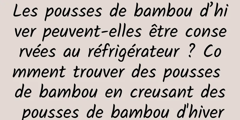 Les pousses de bambou d’hiver peuvent-elles être conservées au réfrigérateur ? Comment trouver des pousses de bambou en creusant des pousses de bambou d'hiver